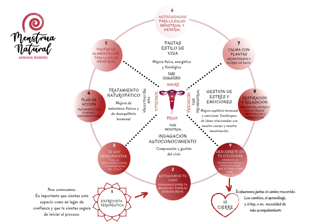 método-terapia menstrual-menstrua natural-adriana romero